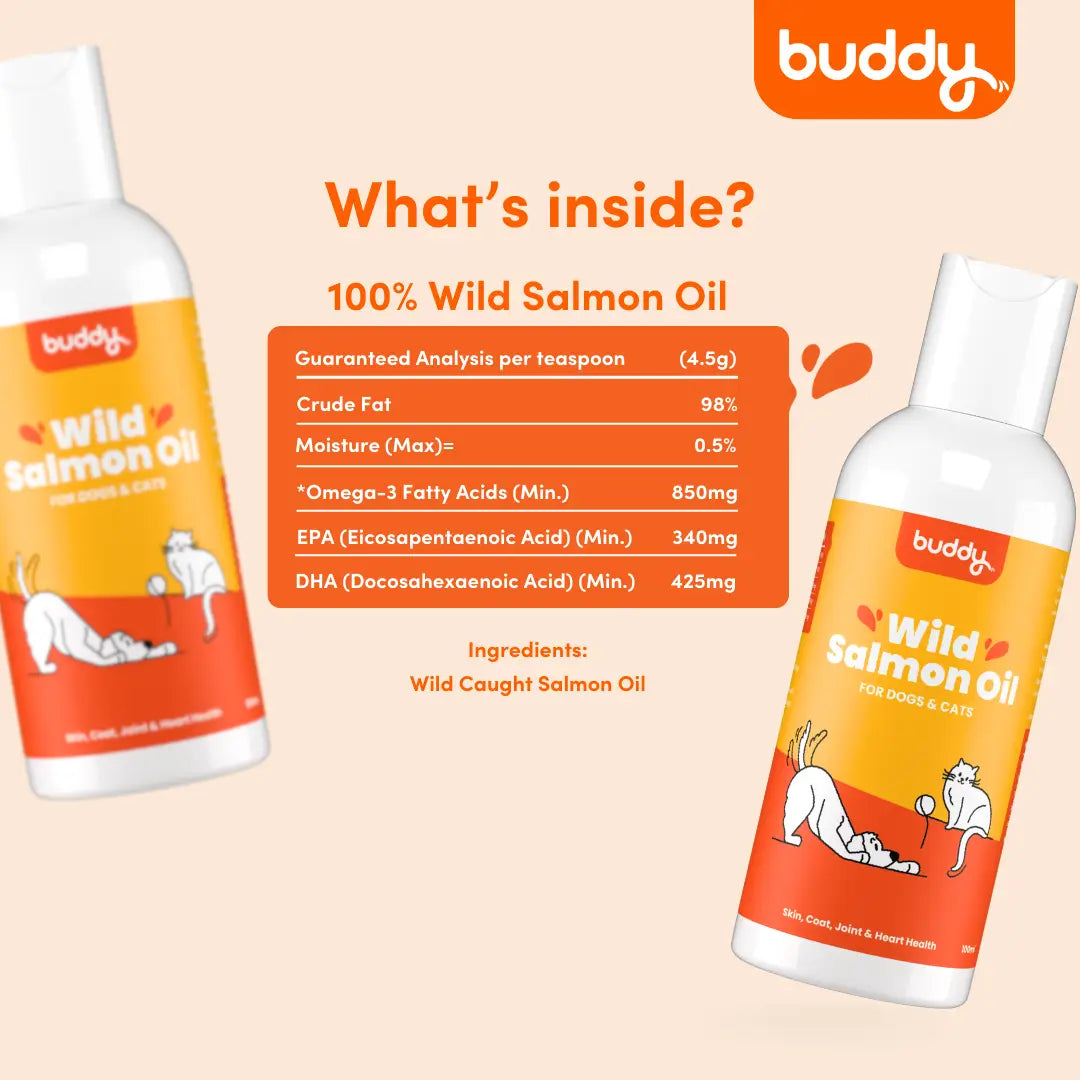 Wild Salmon Oil | 100ml