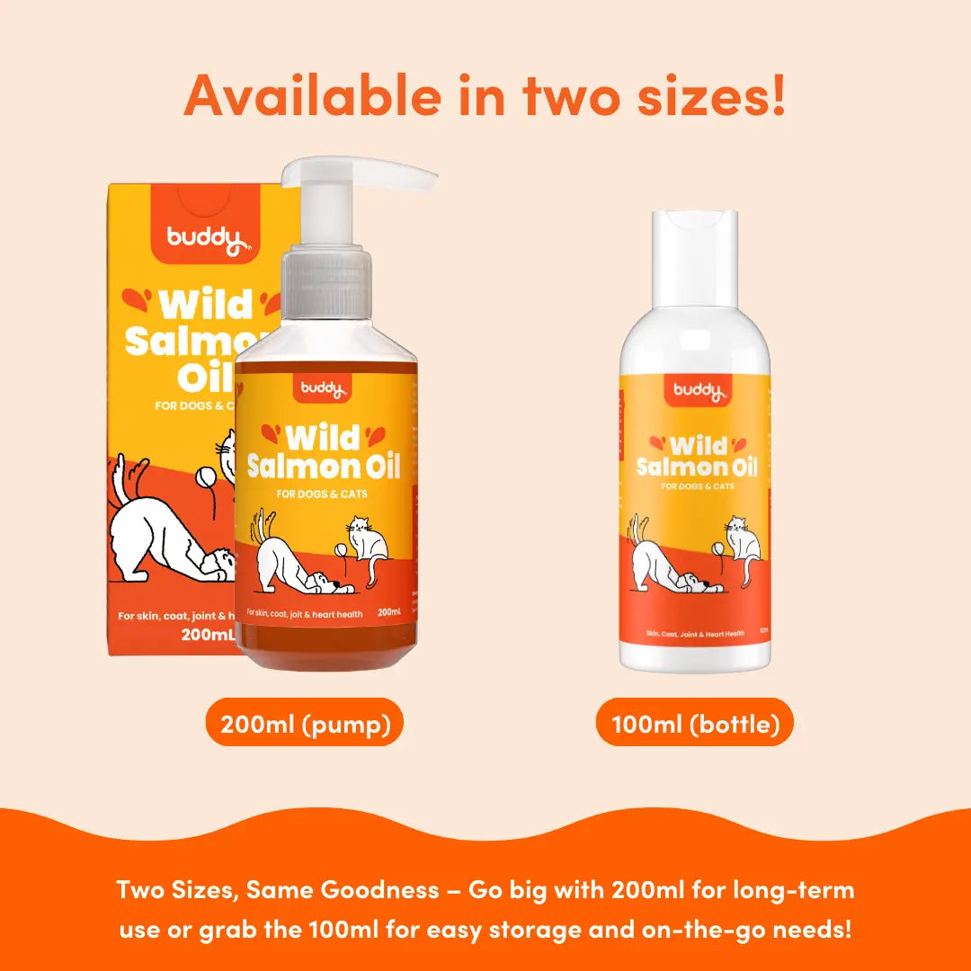 Wild Salmon Oil | 100ml