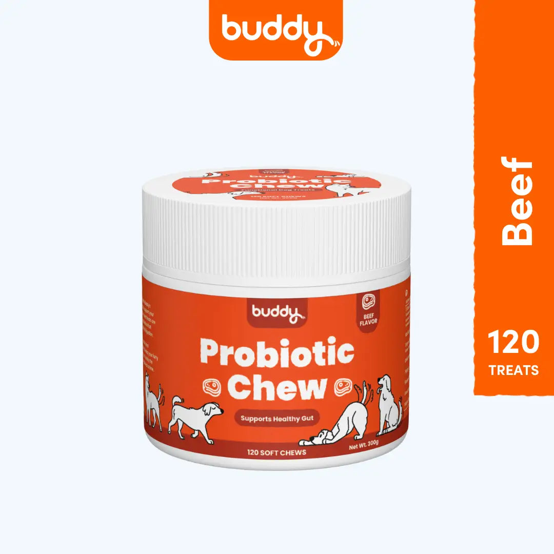 Probiotic Chew