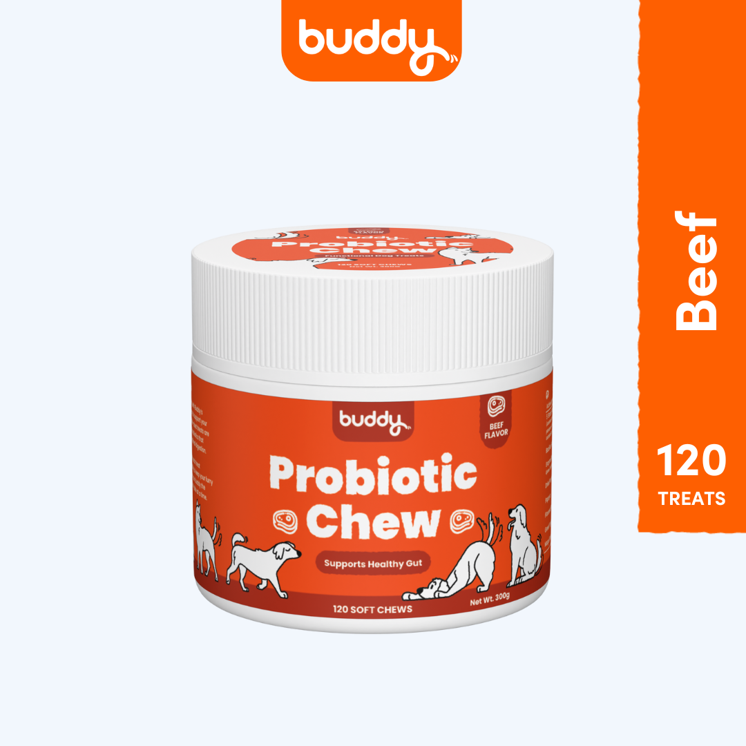 Probiotic Chew
