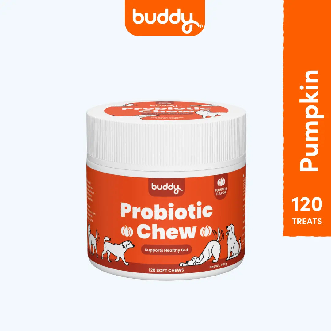 Probiotic Chew