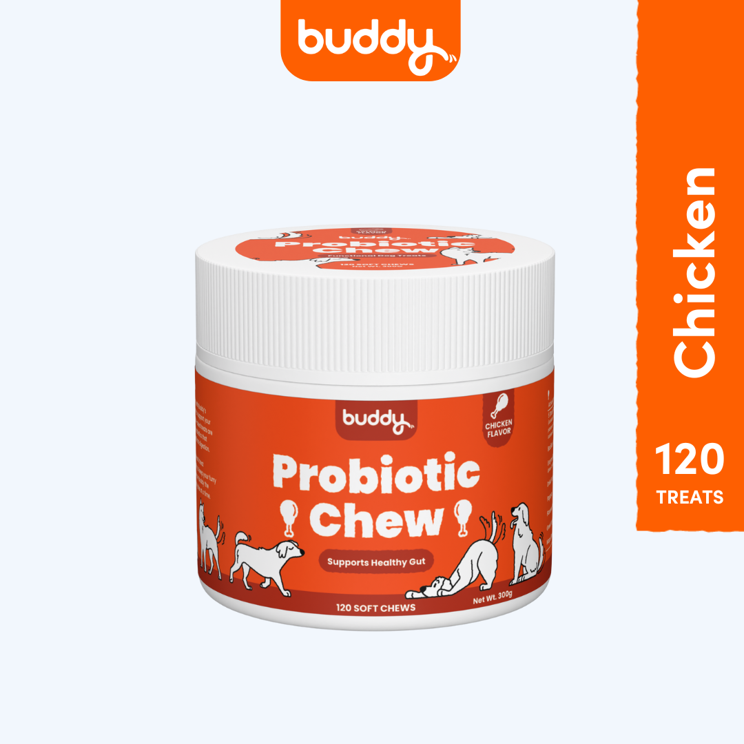 Probiotic Chew