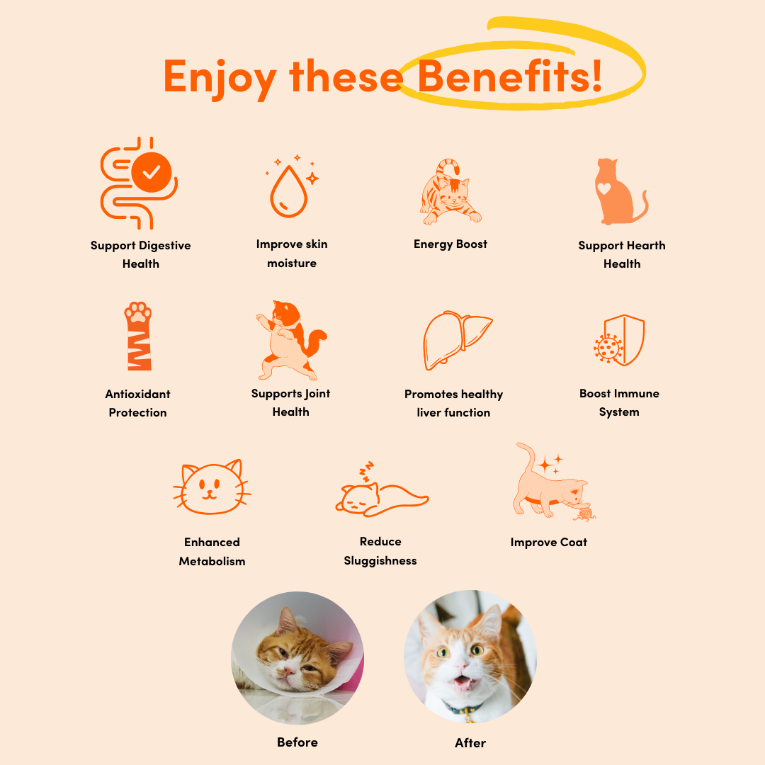 Cat Multivitamin Chew 11 in 1 Support (Trial Pack)