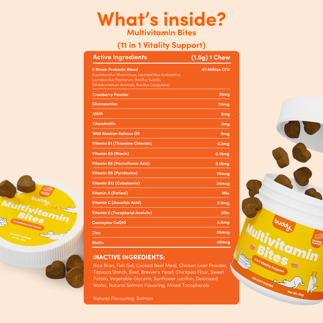 Cat Multivitamin Chew 11 in 1 Support