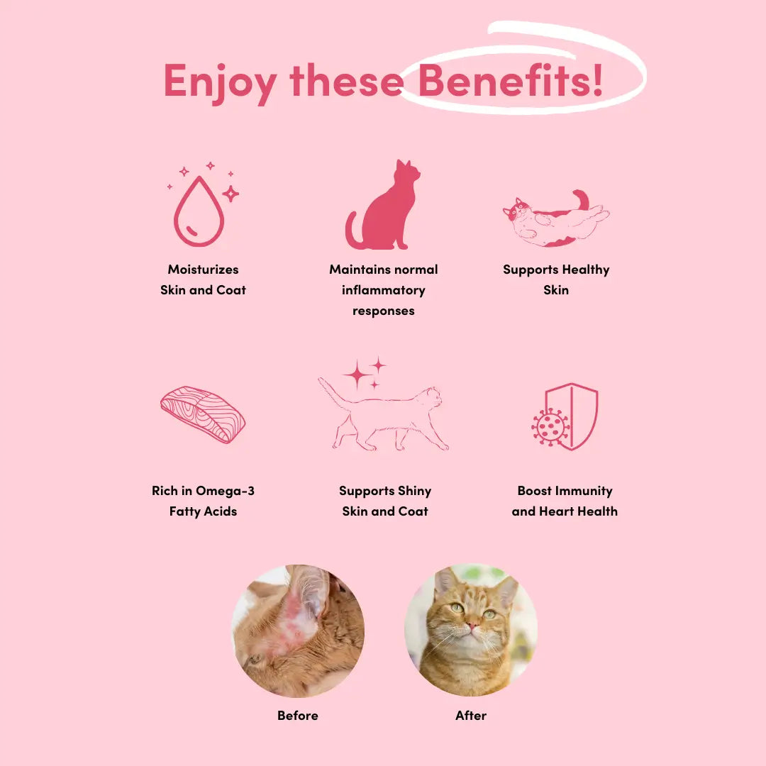 Cat Skin & Coat Chew