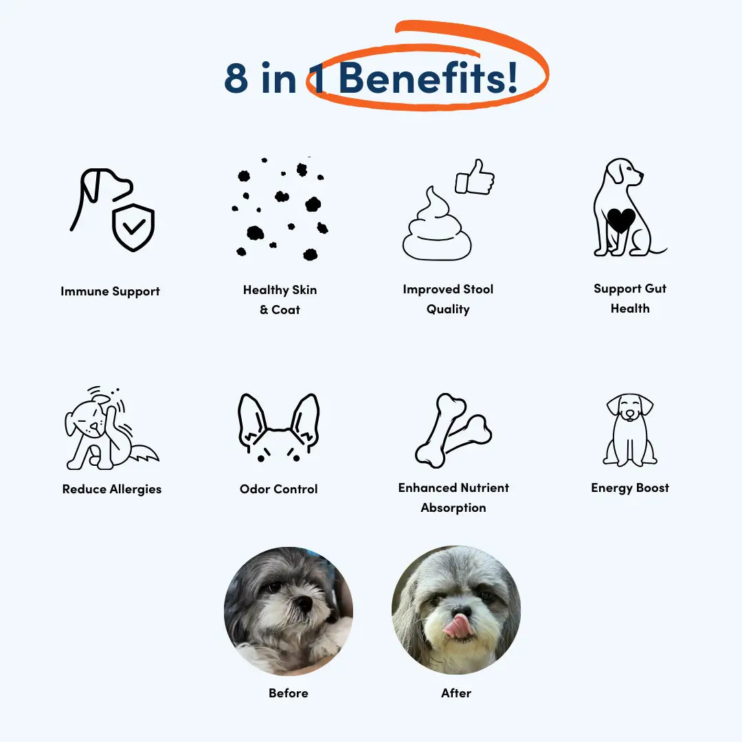 Probiotic Chew