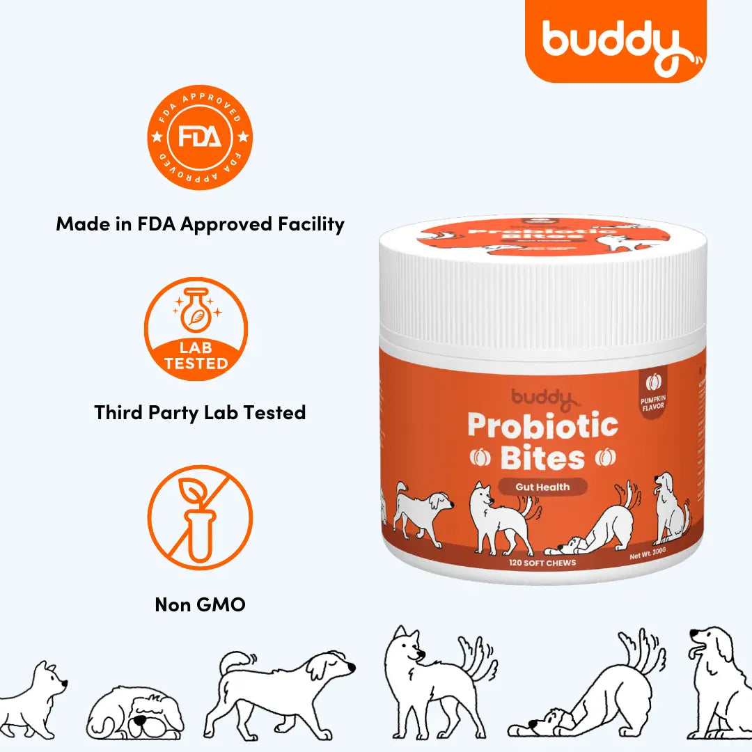 Probiotic Chew