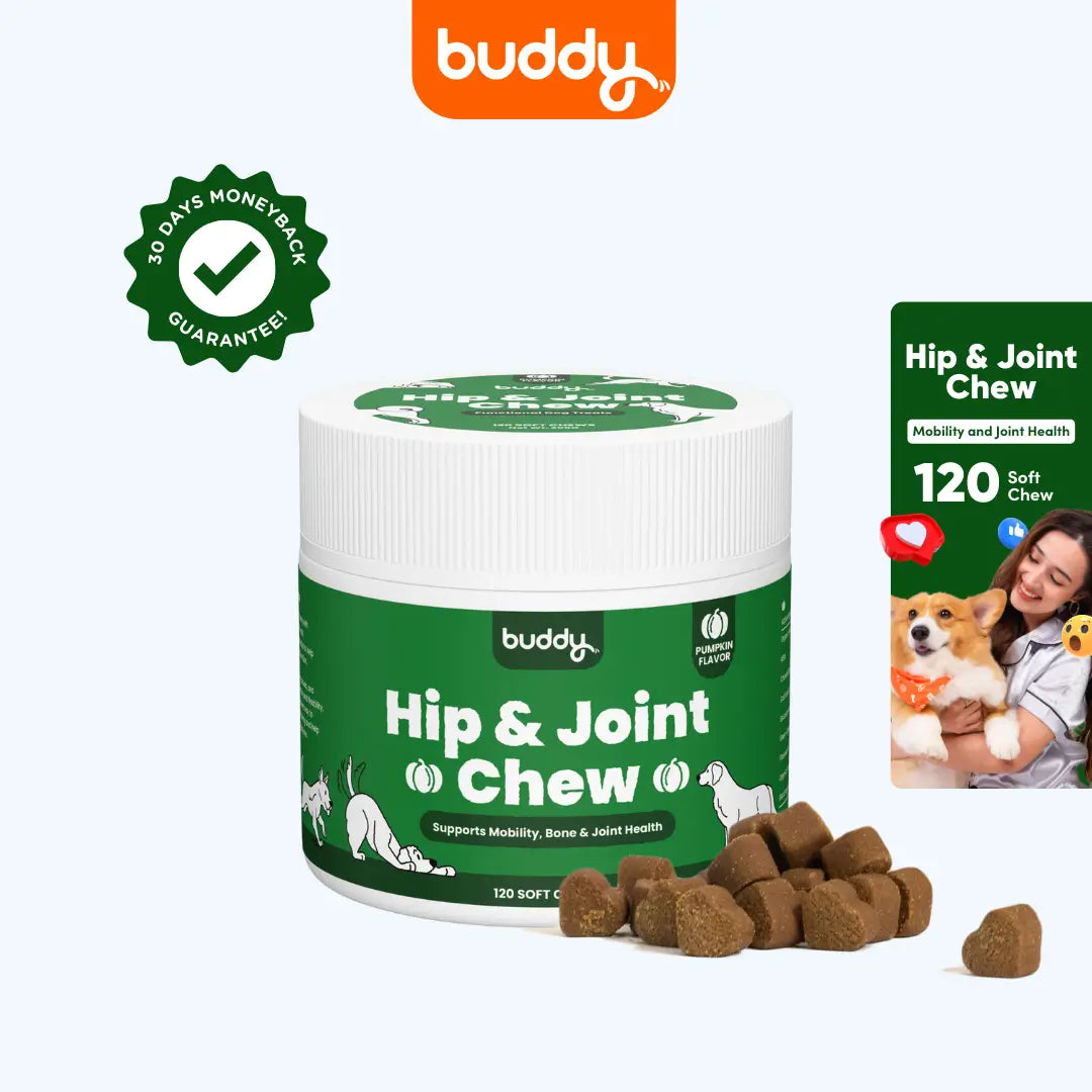 Hip & Joint Chew