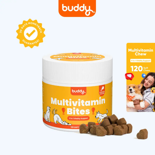 Multivitamin Chew 11 in 1 Support