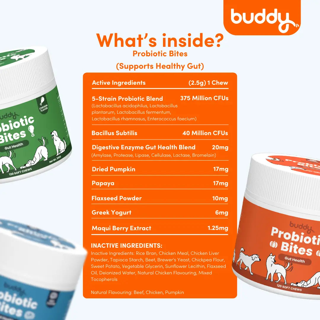 Probiotic Chew