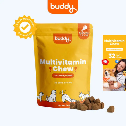 Multivitamin Chew 11 in 1 (Trial Pack)