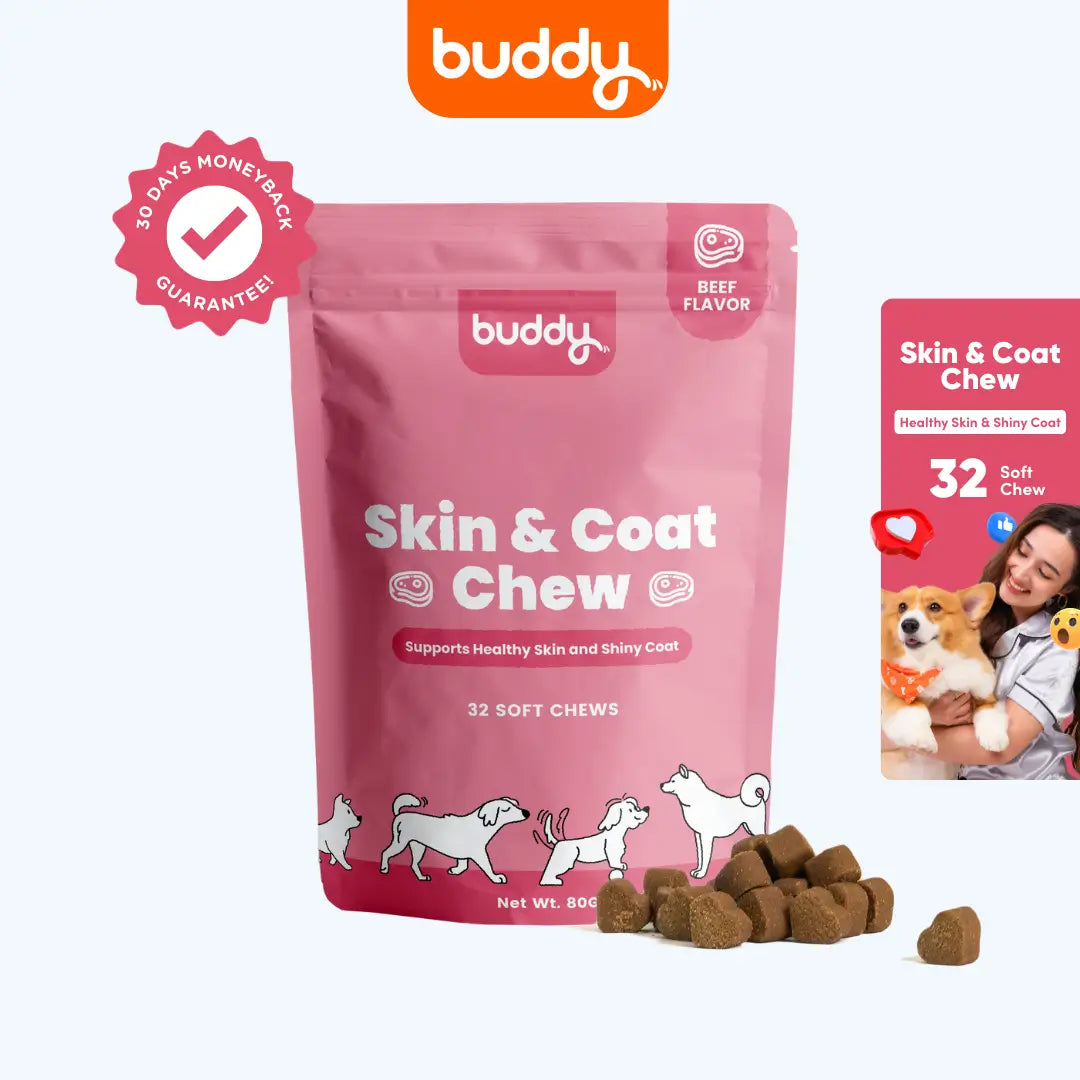 Buddy Skin Coat Chew for healthy skin and shiny coat – Buddy