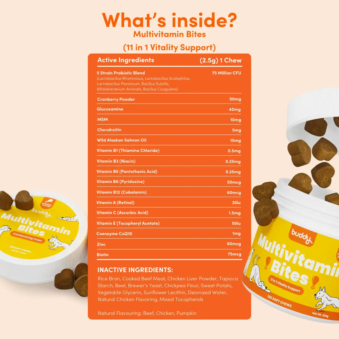 Multivitamin Chew 11 in 1 Support