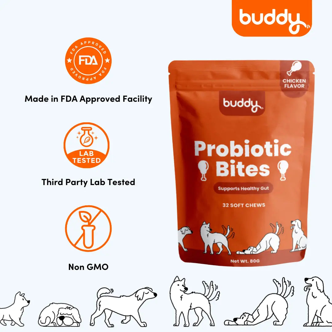 Probiotic Chew (Trial Pack)