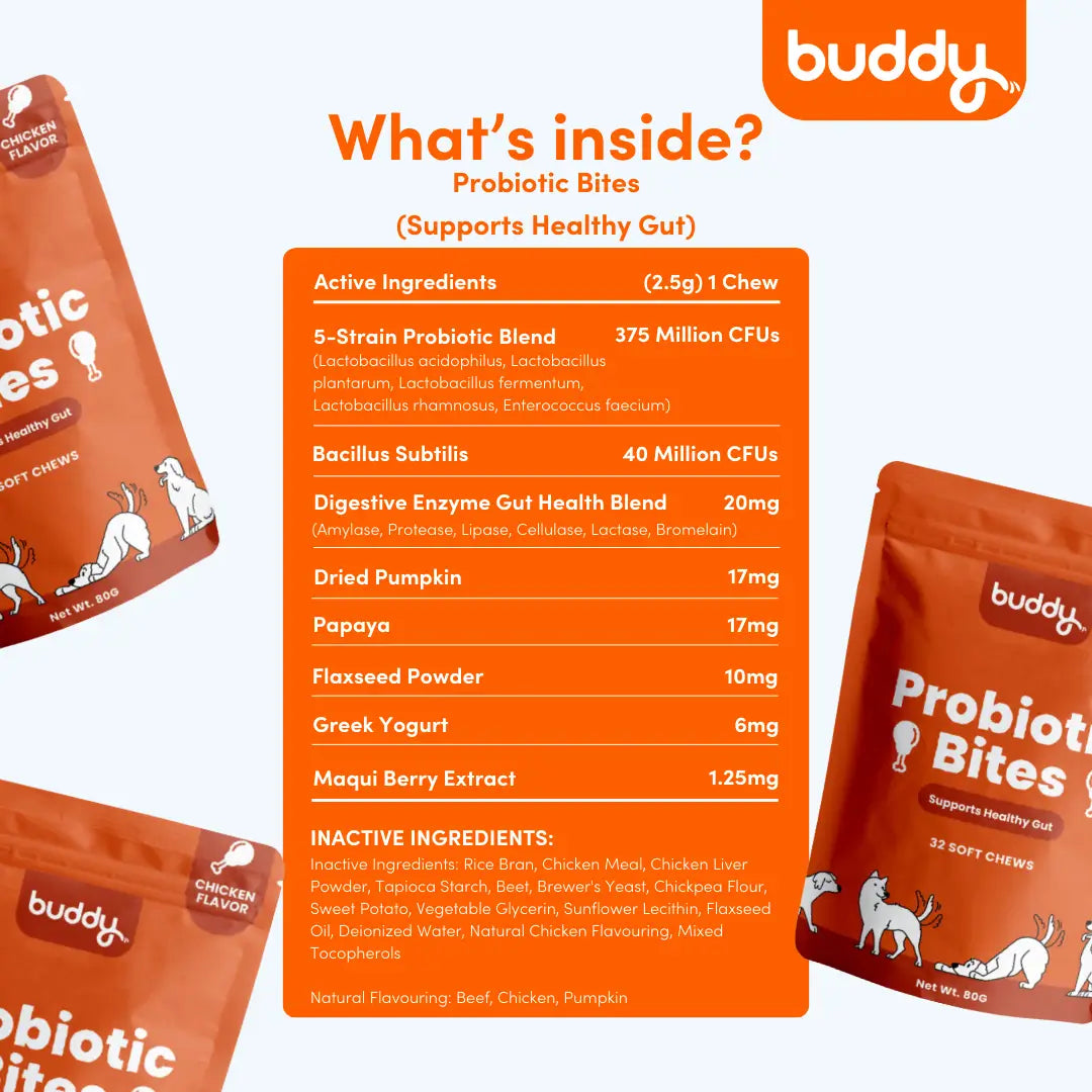 Probiotic Chew (Trial Pack)
