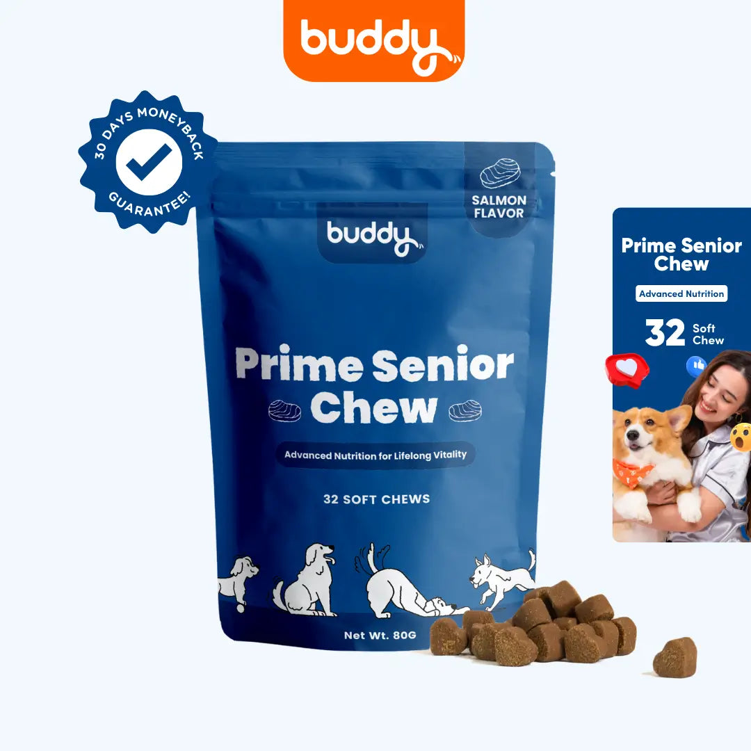 Prime Senior Chew (Trial Pack)