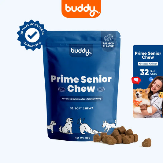 Prime Senior Chew (Trial Pack)