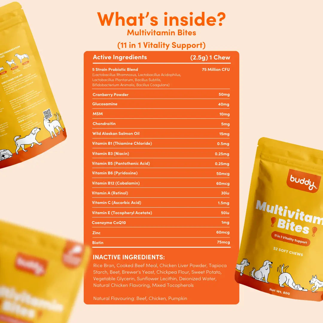 Multivitamin Chew 11 in 1 (Trial Pack)