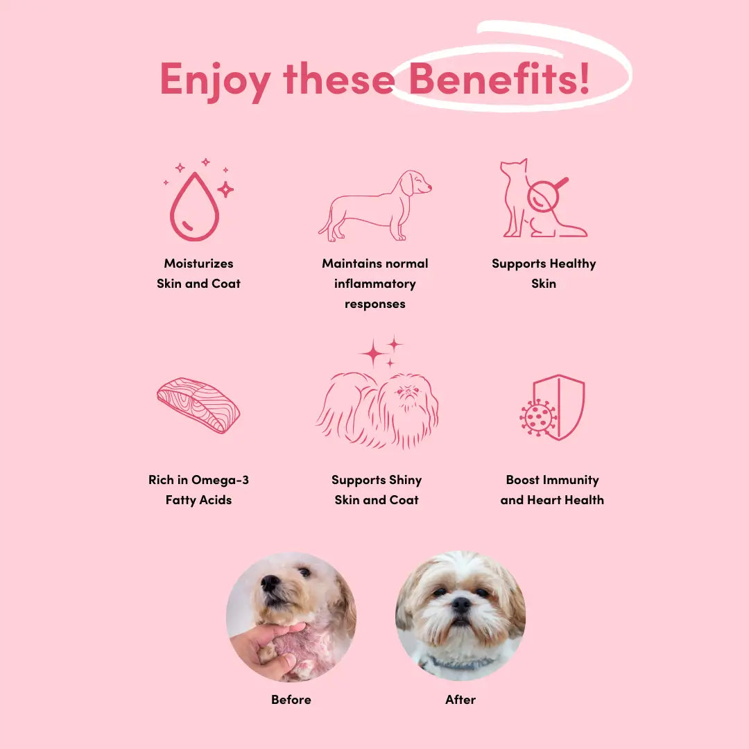 Skin & Coat Chew (Trial Pack)