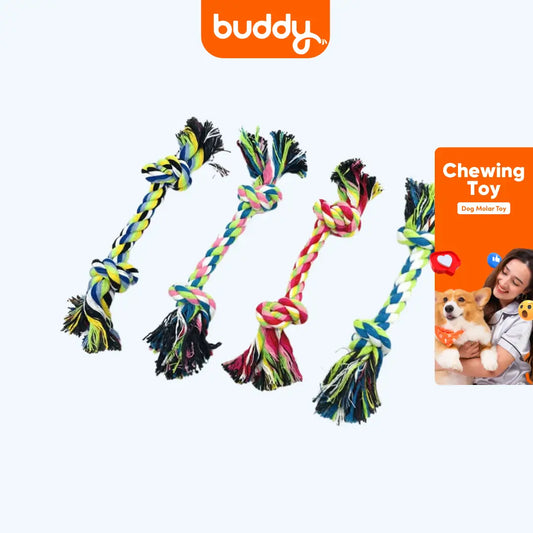 Buddy Chewing Toy