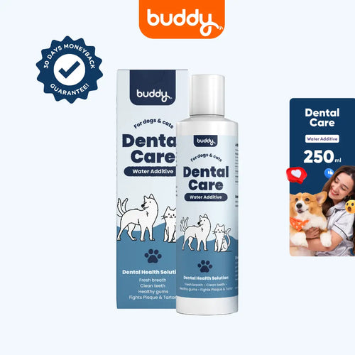 Dental Care Water Additive