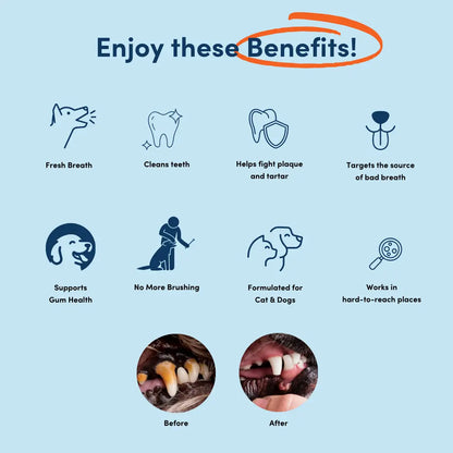 Dental Care Water Additive