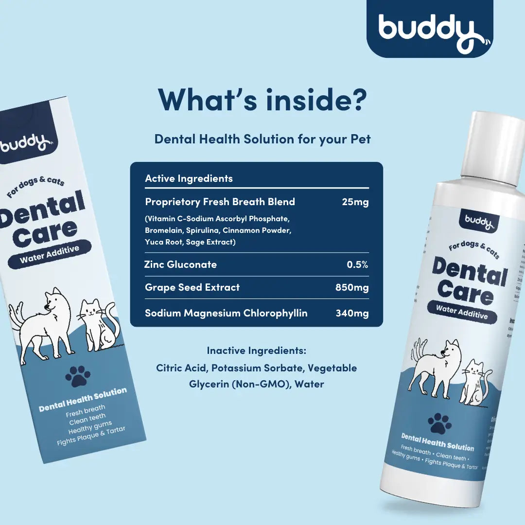 Dental Care Water Additive