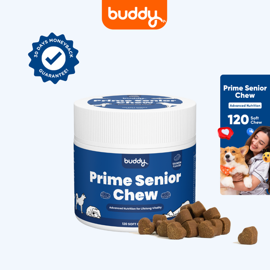Prime Senior Chew