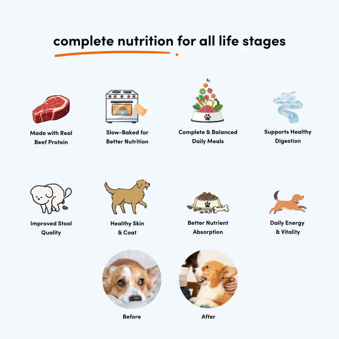 Slow-Baked Kibble