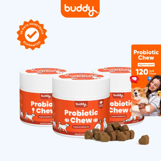 Probiotic Chew