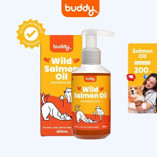 Wild Salmon Oil | 200ml