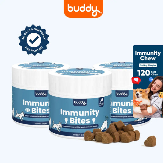 Immunity Chew