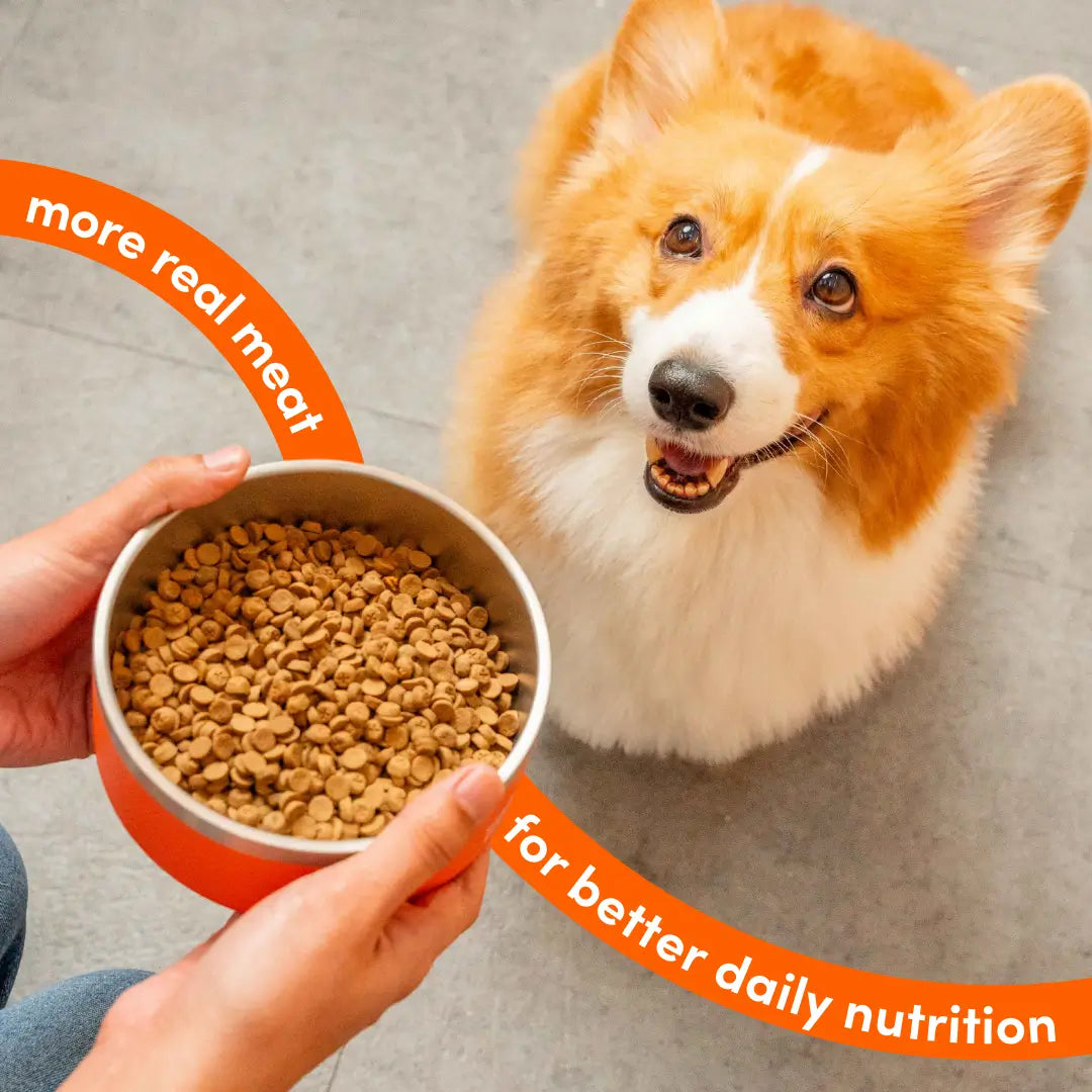 Slow-Baked Kibble