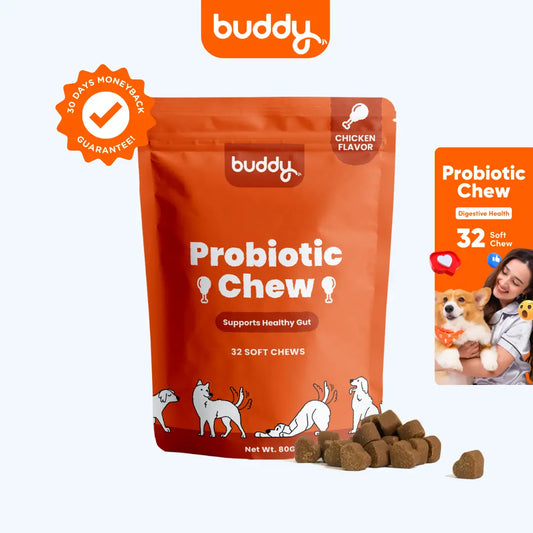 Probiotic Chew (Trial Pack)