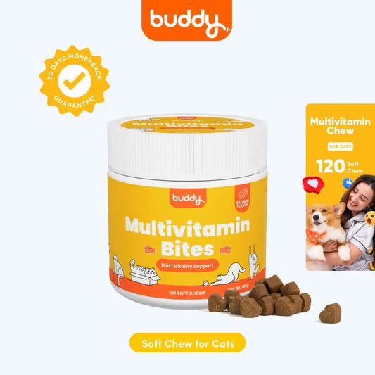 Cat Multivitamin Chew 11 in 1 Support