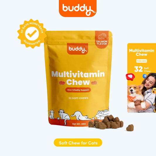 Cat Multivitamin Chew 11 in 1 Support (Trial Pack)