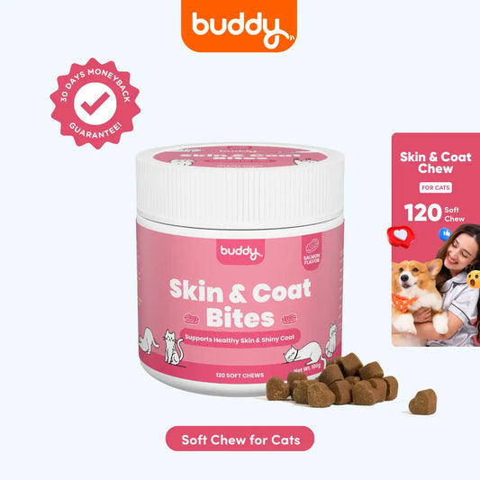 Cat Skin & Coat Chew