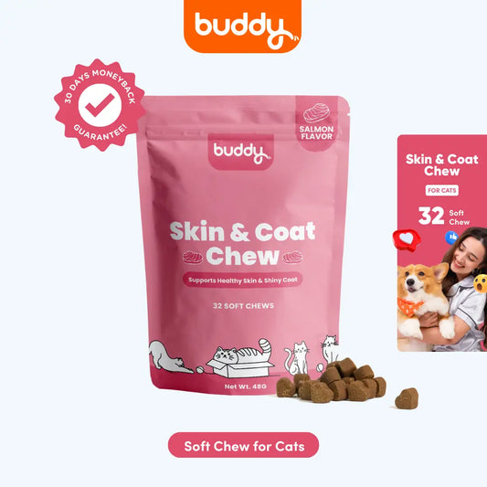 Cat Skin & Coat Chew (Trial Pack)