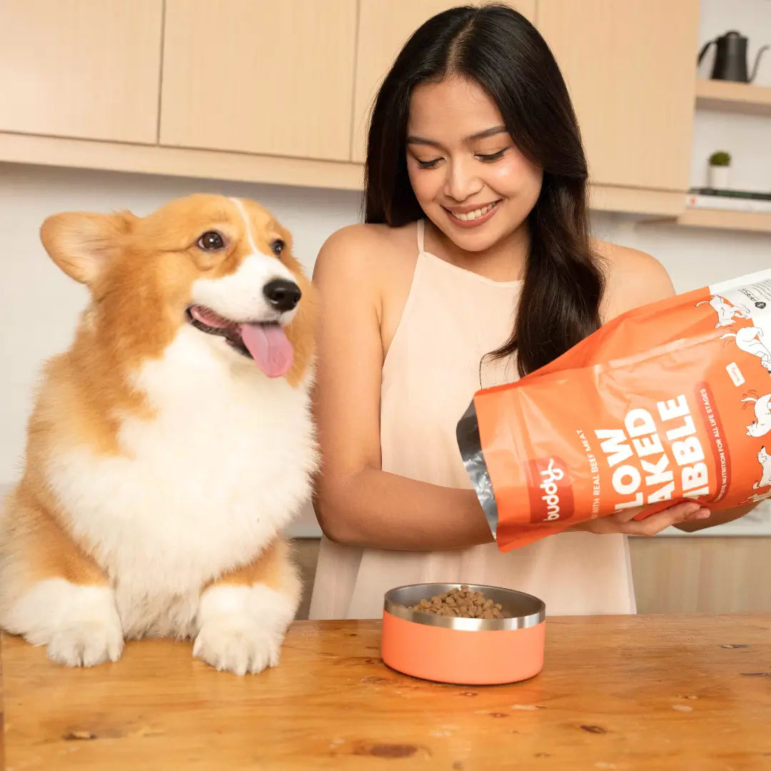 Slow-Baked Kibble